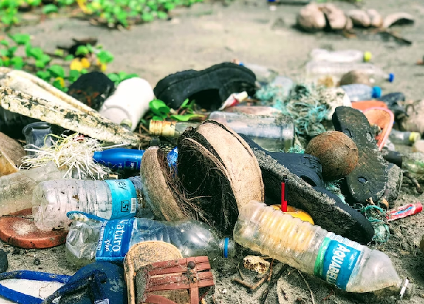 preservação do meio ambiente