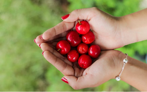 como plantar acerola