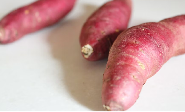 como plantar batata doce