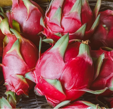 como plantar pitaya